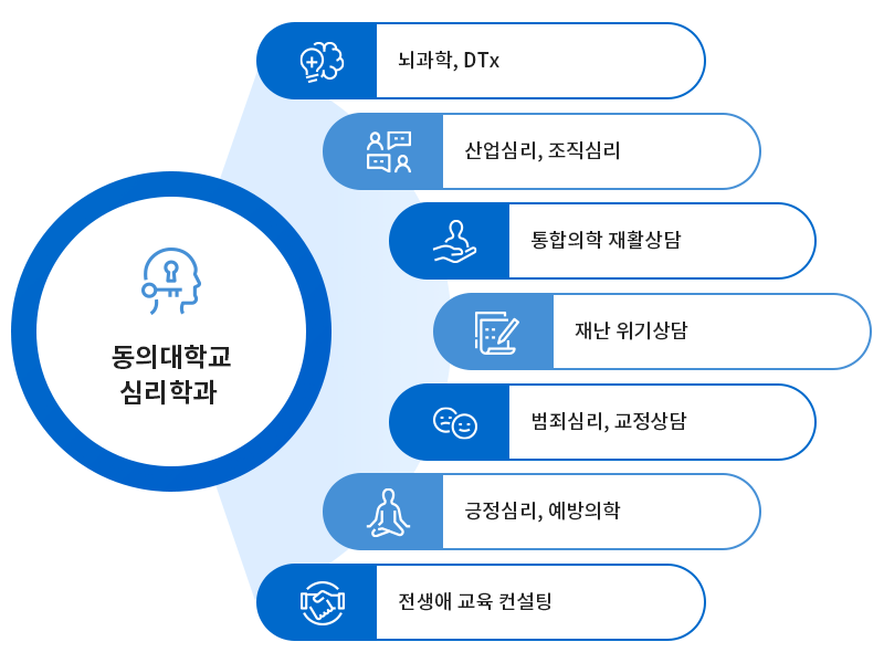 진출 가능 분야 이미지